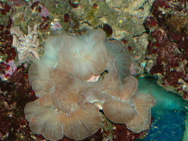 Saltwater Photos