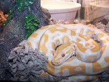 Her new home