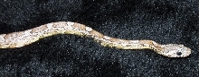 aneryhalf2