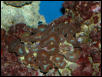 Saltwater Photos