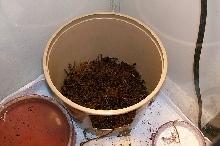 nest box