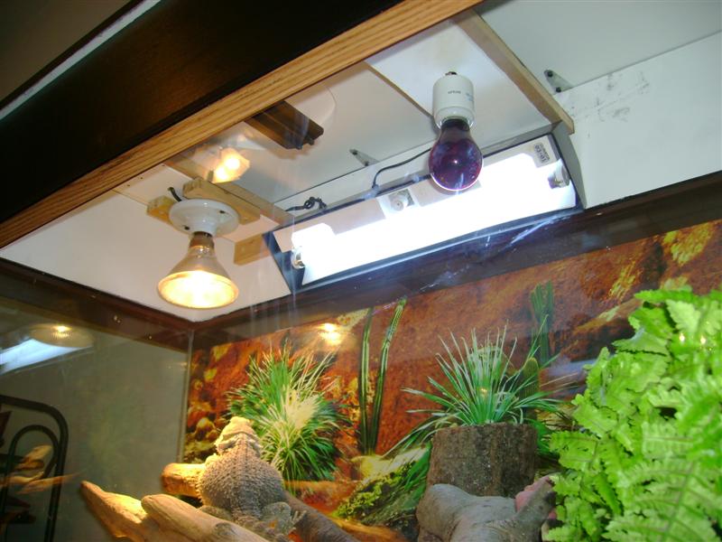 inside
