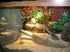 burrowing