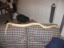 Same Burm 1-1/2 months later...WOW