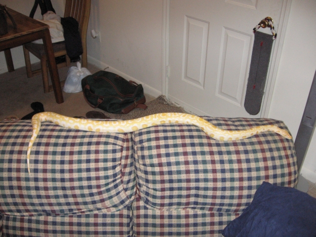 Same Burm 1-1/2 months later...WOW