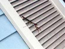 Outside My Window