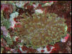 Saltwater Photos