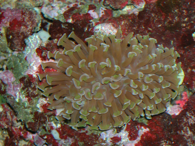 Saltwater Photos