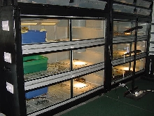 Rack 1 for adult breeding boas