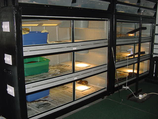 Rack 1 for adult breeding boas