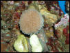 Saltwater Photos