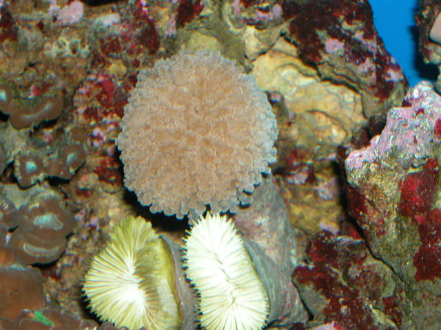 Saltwater Photos
