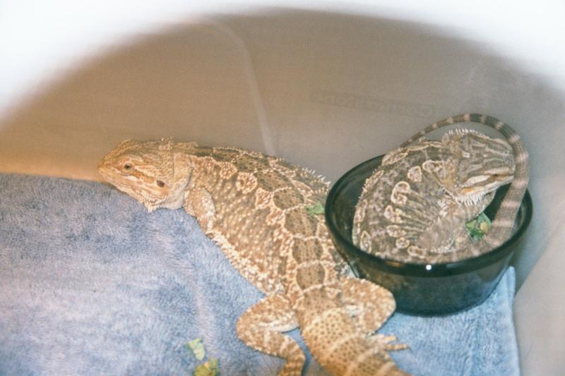 How did he fit?