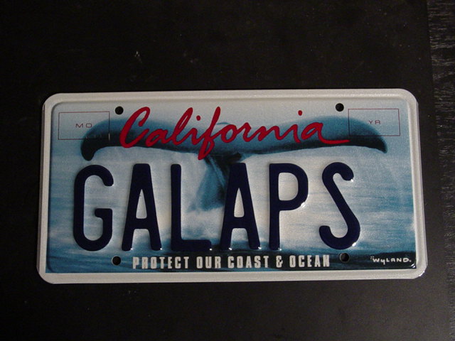 MY LICENSE PLATE IN CALIFORNIA