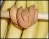 chondro banana