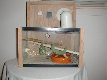 cage1