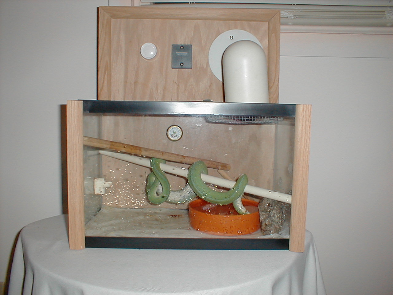 cage1