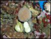 Saltwater Photos