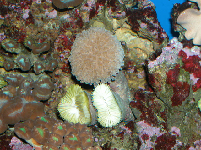 Saltwater Photos