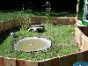 outdoor pen