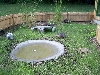 outdoor pool and yard