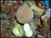 Saltwater Photos