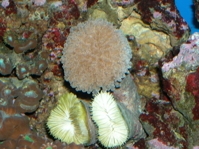 Saltwater Photos