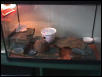 My leopard gecko tank