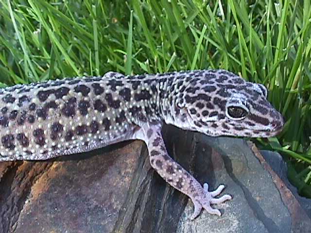 Ying-9 months old