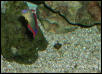 Saltwater Photos