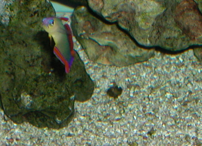 Saltwater Photos