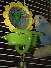 Skyler