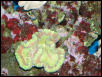 Saltwater Photos