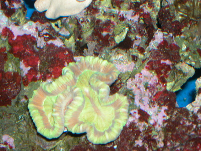 Saltwater Photos