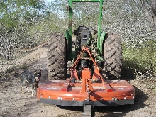 Pepper at john deere tractor