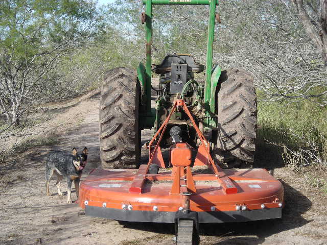 Pepper at john deere tractor