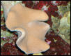 Saltwater Photos