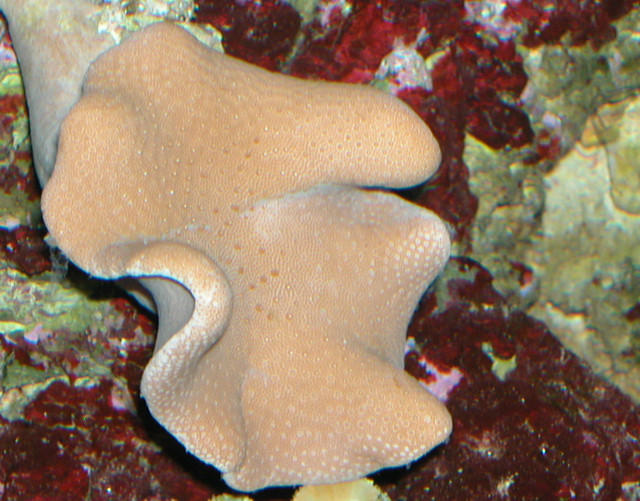 Saltwater Photos