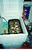 home made incubator