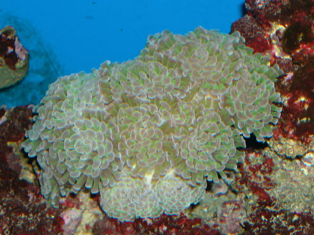 Saltwater Photos