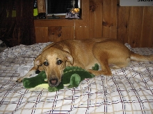 Grace Snuggling With Snippy