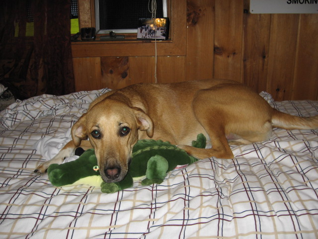 Grace Snuggling With Snippy