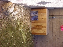 tort house 1