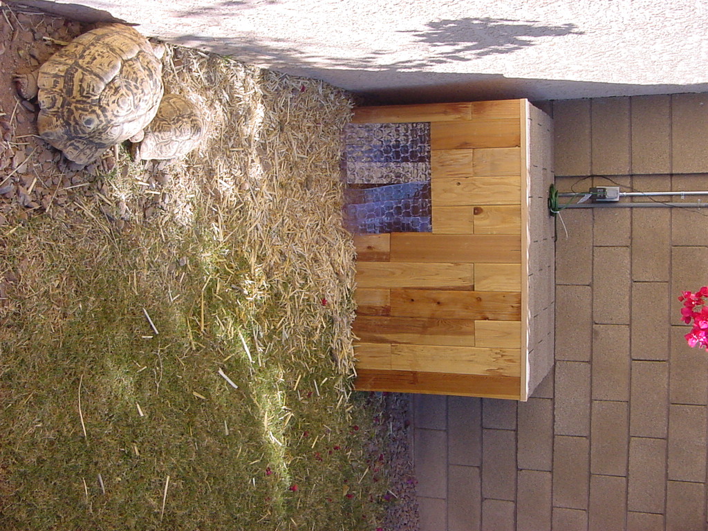 tort house 1