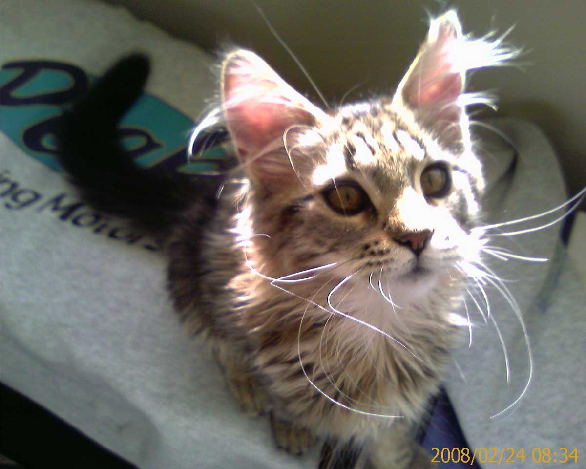 Showing off some whiskers