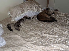 Life is hard