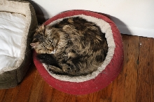 Zzzzzzzzzzzzzzzzzzzz