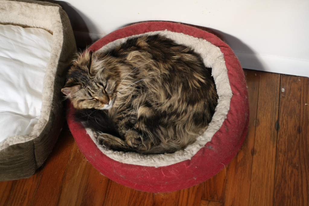 Zzzzzzzzzzzzzzzzzzzz