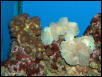 Saltwater Photos