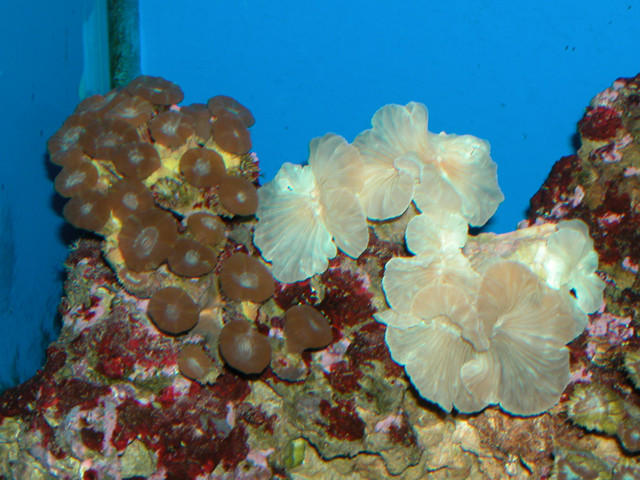 Saltwater Photos